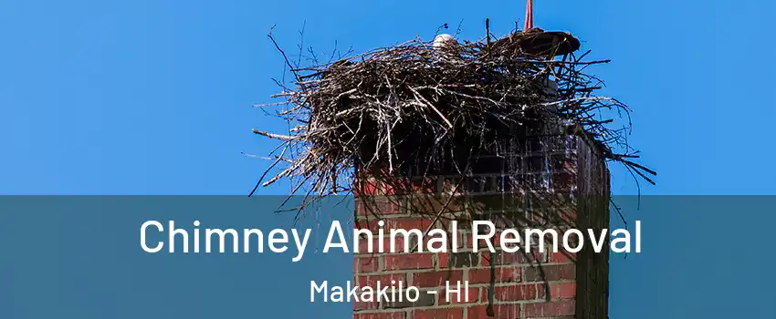  Chimney Animal Removal Makakilo - HI