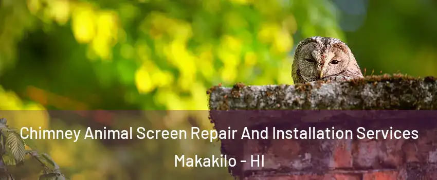  Chimney Animal Screen Repair And Installation Services Makakilo - HI
