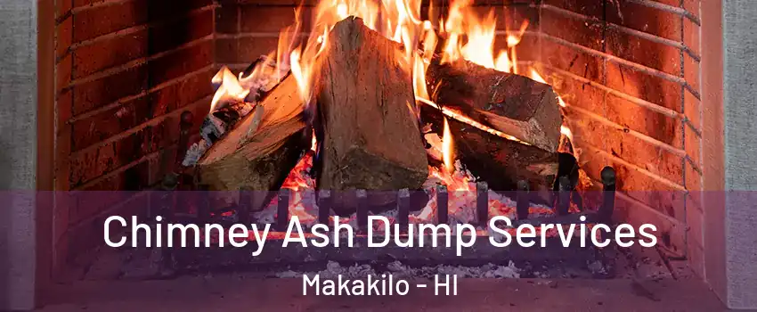  Chimney Ash Dump Services Makakilo - HI