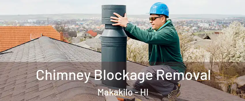  Chimney Blockage Removal Makakilo - HI