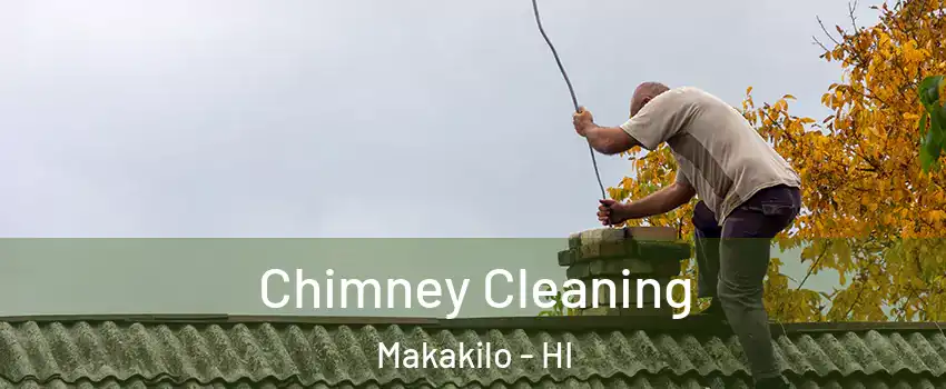  Chimney Cleaning Makakilo - HI