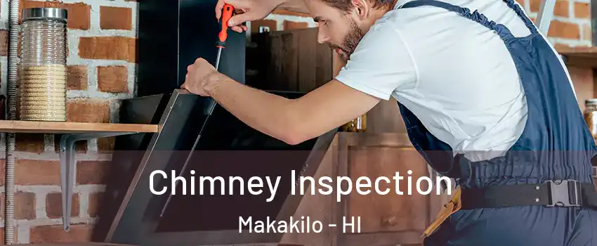  Chimney Inspection Makakilo - HI