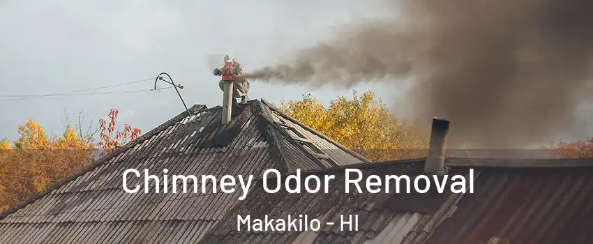  Chimney Odor Removal Makakilo - HI