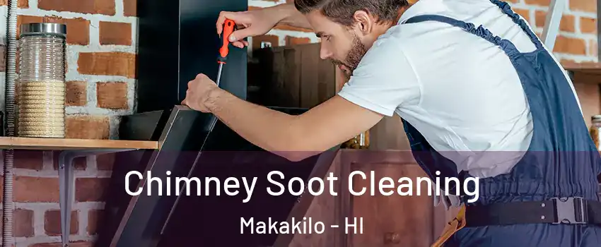  Chimney Soot Cleaning Makakilo - HI
