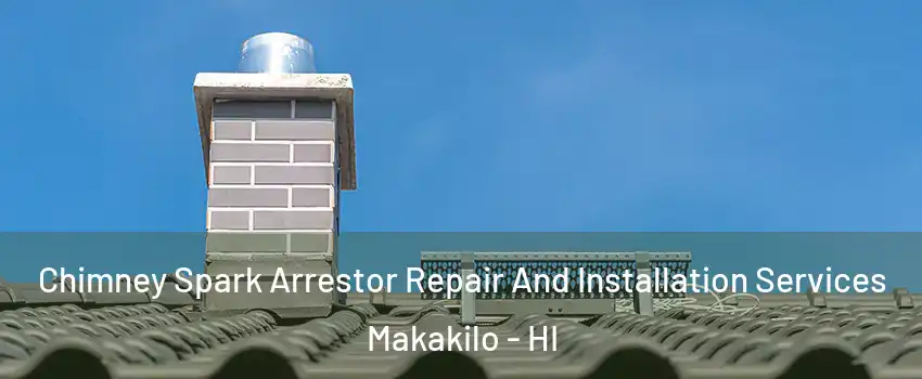  Chimney Spark Arrestor Repair And Installation Services Makakilo - HI