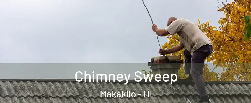  Chimney Sweep Makakilo - HI