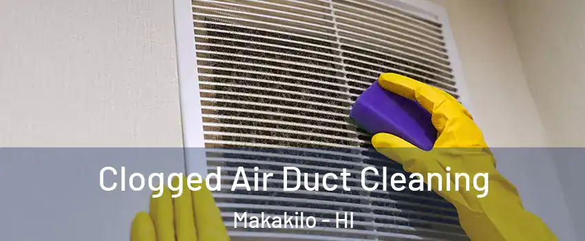 Clogged Air Duct Cleaning Makakilo - HI