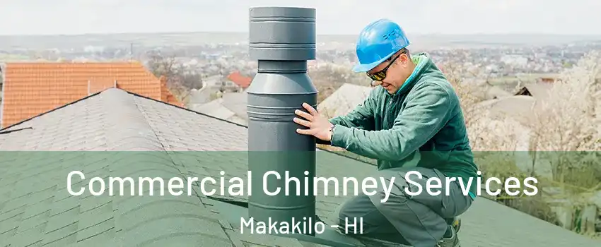  Commercial Chimney Services Makakilo - HI