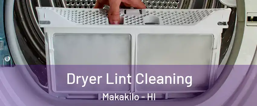  Dryer Lint Cleaning Makakilo - HI