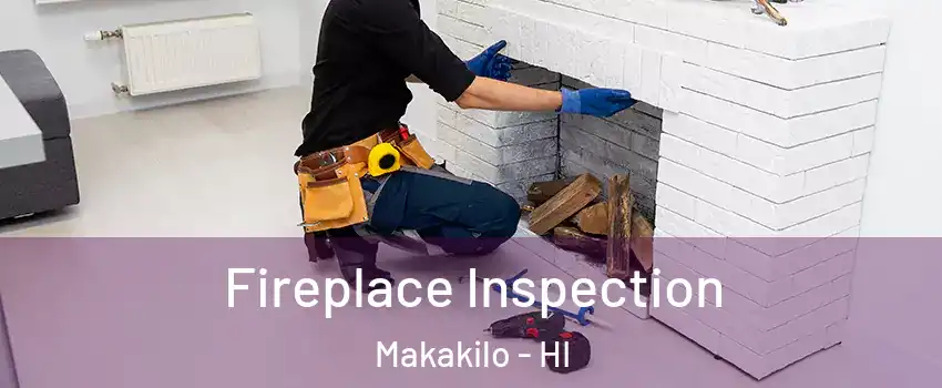  Fireplace Inspection Makakilo - HI