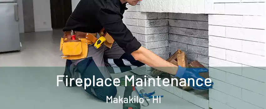  Fireplace Maintenance Makakilo - HI