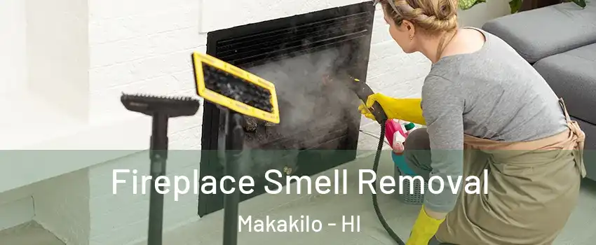  Fireplace Smell Removal Makakilo - HI