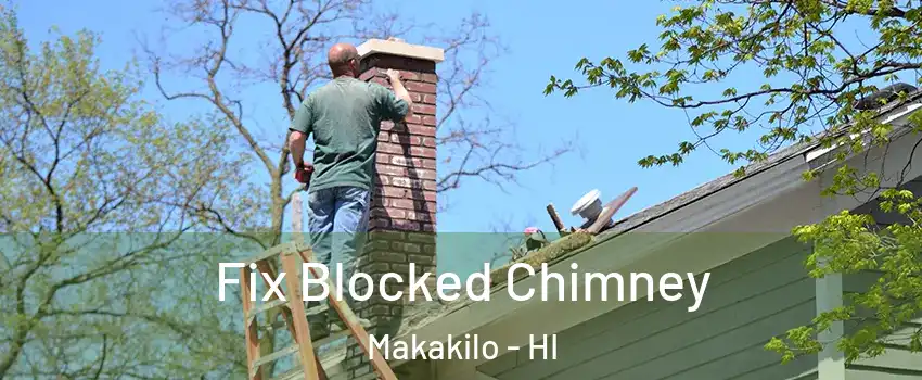  Fix Blocked Chimney Makakilo - HI