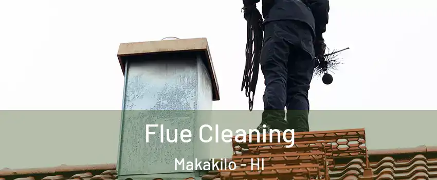 Flue Cleaning Makakilo - HI