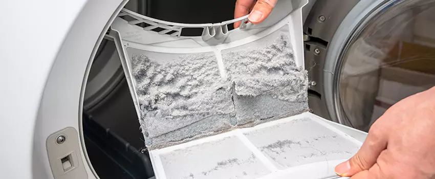 Best Dryer Lint Removal Company in Makakilo, Hawaii