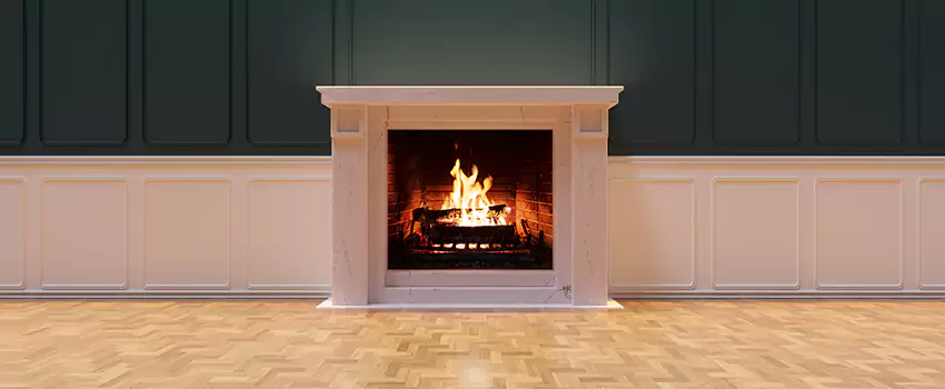 Napoleon Electric Fireplaces Inspection Service in Makakilo, Hawaii