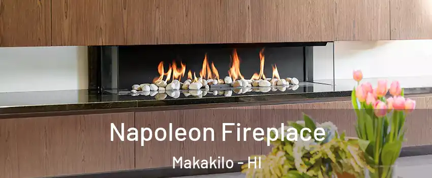  Napoleon Fireplace Makakilo - HI