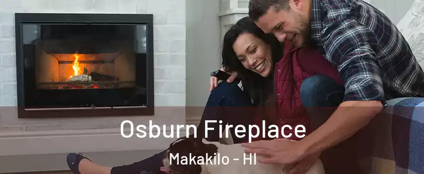  Osburn Fireplace Makakilo - HI