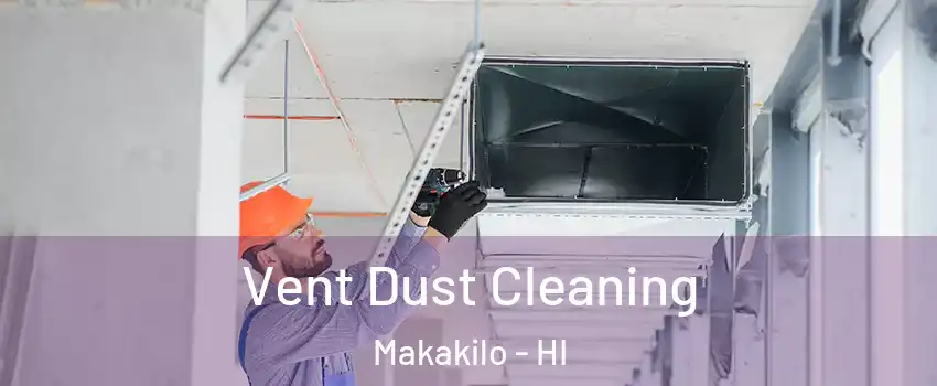  Vent Dust Cleaning Makakilo - HI
